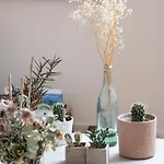 Atelier St Didier-spacieux Avec Grand Balcon-saone リヨン